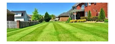 Business 6 image GREENPAL LAWN CARE Lawn Service in Tampa FL