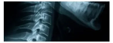 Business 5 image HEALTHPOINT CHIROPRACTOR Reflexologists in Fort Lauderdale FL