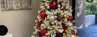 Business 4 image HILL VALLEY SUITES Virtual Office Rental in Tampa FL