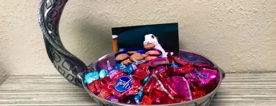 Business 24 image HILL VALLEY SUITES Virtual Office Rental in Tampa FL