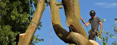 Business 6 image LA BEST HAULING AND JUNK REMOVAL Radon Testing Service in Los Angeles CA