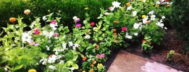 Business 9 image LAND DESIGNS BY COLTON Xeriscaping in Wheat Ridge CO