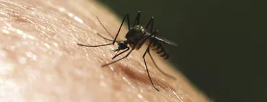 Business 1 image LAWNWORX Lawn Care in Orlando FL