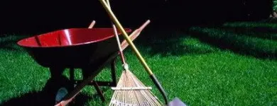 Business 3 image LAWNWORX Lawn Care in Orlando FL