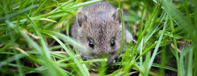 Business 4 image LAWNWORX Lawn Care in Orlando FL