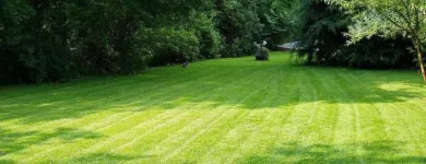 Business 7 image LAWNWORX Lawn Care in Orlando FL