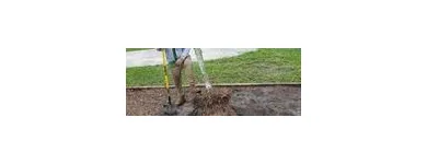 Business 5 image LEO'S TREE & LANDSCAPING SERVICES, LLC Tree Trimming Service in Tampa FL