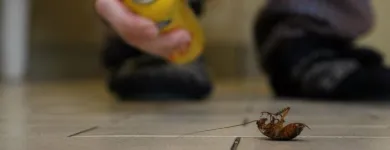 Business 2 image LIGHTNING REMOVAL TERMITE EXPERTS Pest Control Services in Tampa FL