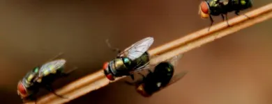 Business 7 image LIGHTNING REMOVAL TERMITE EXPERTS Pest Control Services in Tampa FL