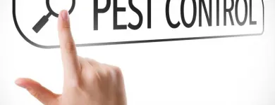 Business 9 image LIGHTNING REMOVAL TERMITE EXPERTS Pest Control Services in Tampa FL