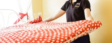Business 3 image MAID SERVICE WYNWOOD Cleaning Services in Miami FL