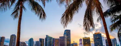 Business 3 image MALESCU LAW, PA - BUSINESS & IMMIGRATION LAWYERS | Immigration Attorney in Miami FL