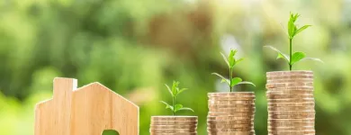 Business 2 image MG RENTAL & RENTERS INSURANCE Insurance in Tampa FL