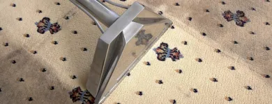 Business 3 image MR. STEAMER CARPET & FLOOR CLEANER Floor Cleaning in Tampa FL