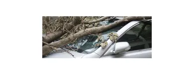 Business 1 image NATIONWIDE INSURANCE - BARFIELD INSURANCE AGENCY Auto Insurance in Orlando FL