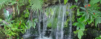 Business 7 image NATURE TOUCH INC Landscaping & Lawn Services in Miami FL