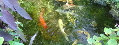 Business 3 image NATURE TOUCH INC Landscaping & Lawn Services in Miami FL