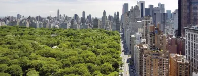 Business 3 image NEXT CLEANERS - CHELSEA Dry Cleaners in New York NY