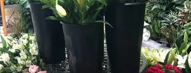 Business 2 image NORTH PARK FLORIST Florists in Buffalo NY
