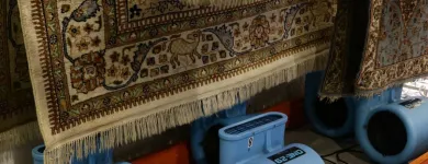 Business 3 image ORIENTAL RUG CLEANING FACILITY Rug Cleaning in Tampa FL