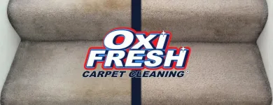 Business 1 image OXI FRESH CARPET CLEANING Upholstery Cleaning Service in Orlando FL