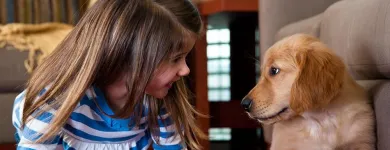 Business 10 image OXI FRESH CARPET CLEANING Upholstery Cleaning Service in Orlando FL