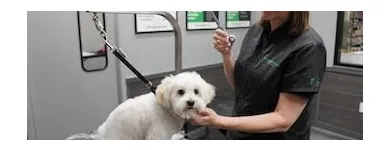 Business 3 image PET SUPPLIES PLUS WEST SENECA Pet Services in West Seneca NY