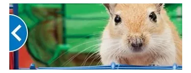 Business 2 image PETSMART PetSmart in Ocoee FL