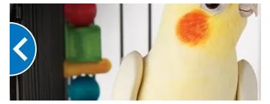 Business 3 image PETSMART PetSmart in Ocoee FL