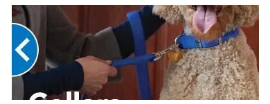 Business 4 image PETSMART PetSmart in Ocoee FL