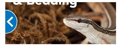 Business 5 image PETSMART PetSmart in Ocoee FL