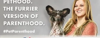 Business 6 image PETSMART PetSmart in Ocoee FL