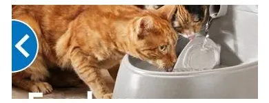 Business 8 image PETSMART PetSmart in Ocoee FL