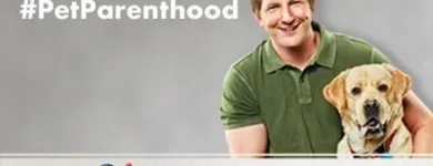 Business 9 image PETSMART PetSmart in Ocoee FL