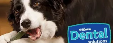 Business 13 image PETSMART PetSmart in Ocoee FL