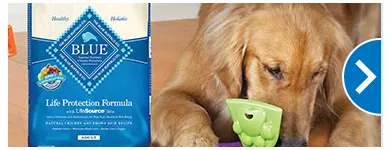 Business 6 image PETSMART Tropical Fish in Tampa FL