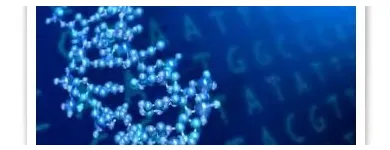 Business 1 image PHARMAPEX USA in San Diego CA