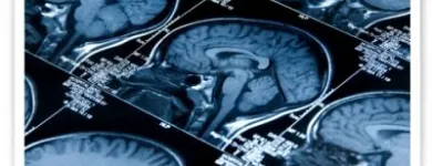 Business 3 image PHARMAPEX USA in San Diego CA