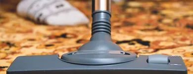 Business 1 image PROFESSIONAL CARPET & RUG CLEANING Cleaning Services in New York NY