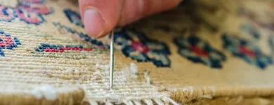 Business 2 image PROFESSIONAL CARPET & RUG CLEANING Cleaning Services in New York NY