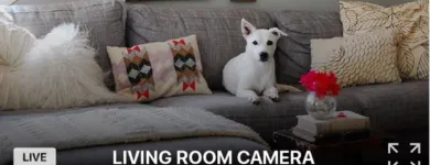 Business 6 image PROTECT YOUR HOME – ADT AUTHORIZED PREMIER PROVIDER Shopping & Retail in Tampa FL