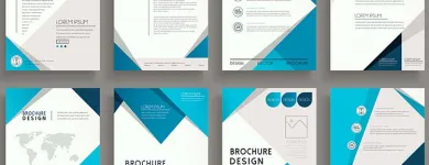 Business 1 image PSB MIAMI Web Site Design & Services in Miami FL