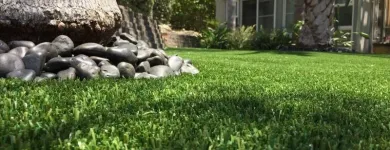 Business 1 image PURCHASE GREEN ARTIFICIAL GRASS - DENVER Synthetic Turf in Wheat Ridge CO