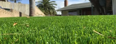 Business 2 image PURCHASE GREEN ARTIFICIAL GRASS - DENVER Synthetic Turf in Wheat Ridge CO