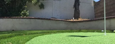 Business 3 image PURCHASE GREEN ARTIFICIAL GRASS - DENVER Synthetic Turf in Wheat Ridge CO