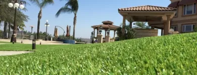 Business 4 image PURCHASE GREEN ARTIFICIAL GRASS - DENVER Synthetic Turf in Wheat Ridge CO