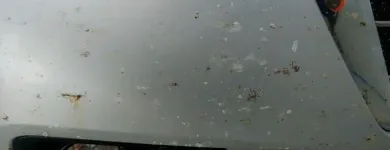 Business 28 image RAPID MOBILE AUTOMOTIVE DETAIL Rust Removal in North Kansas City MO