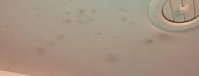 Business 83 image RAPID MOBILE AUTOMOTIVE DETAIL Rust Removal in North Kansas City MO