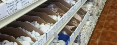 Business 4 image RICHARDS SEASHELLS Novelty Store in Winter Haven FL