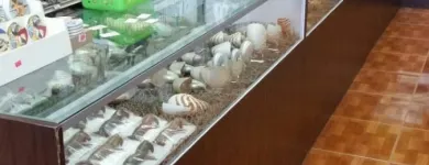 Business 5 image RICHARDS SEASHELLS Novelty Store in Winter Haven FL